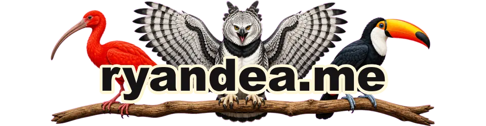 ryandea.me